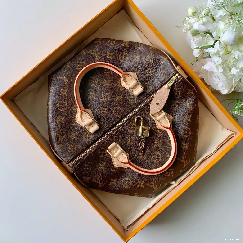 Affordable 30 SPEEDY Vuitton Louis 0609